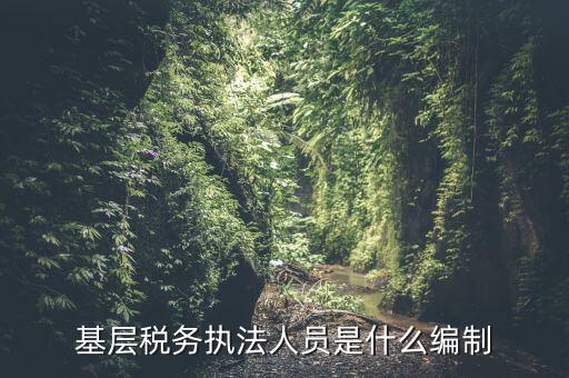 基層稅收?qǐng)?zhí)法干什么的，基層稅務(wù)執(zhí)法人員是什么編制