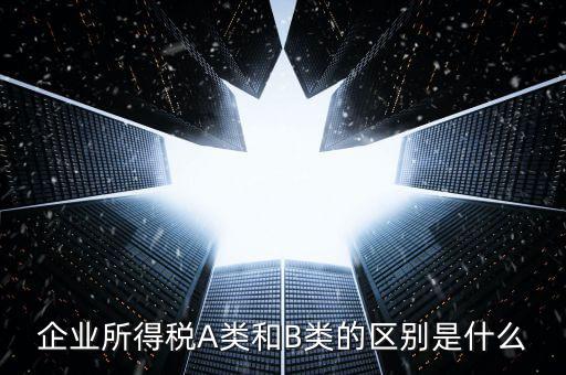 環(huán)境保護稅a類和b類什么區(qū)別，企業(yè)所得稅a類表和b類有什么區(qū)別