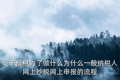 電子稅務(wù)申報(bào)是什么來的，電子申報(bào)納稅是怎么回事給報(bào)送紙質(zhì)申報(bào)材料一樣嗎