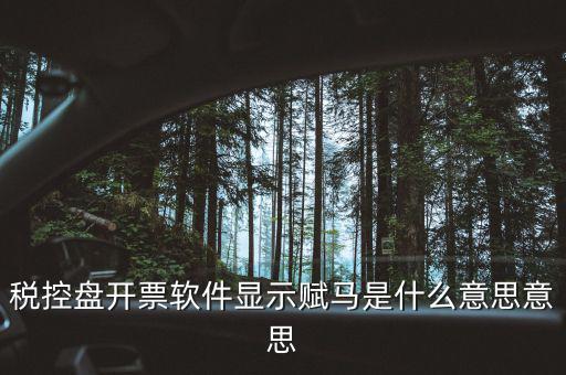 稅控盤開(kāi)票軟件顯示賦馬是什么意思意思