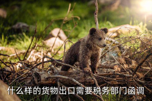 為什么要出口復函，國稅局函調(diào)后對方國稅局回復說貨物流常請問能否讓對方二次復