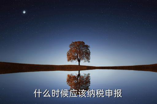 消費(fèi)稅什么時(shí)候申報(bào)，什么時(shí)候應(yīng)該納稅申報(bào)