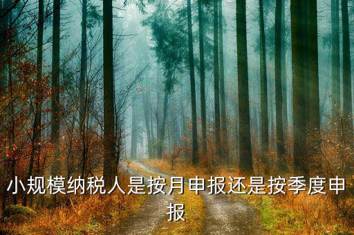 小規(guī)模納稅人按季申報是指什么，增值稅小規(guī)模納稅人按季申報怎么填