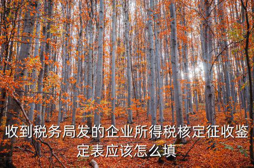去稅務(wù)局核定征收填什么，核定征收企業(yè)報(bào)所得稅在去稅務(wù)局核定時(shí)需要拿什么資料