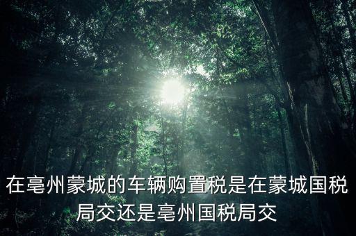 國稅局掛牌是什么意思，濮陽摩托辦照