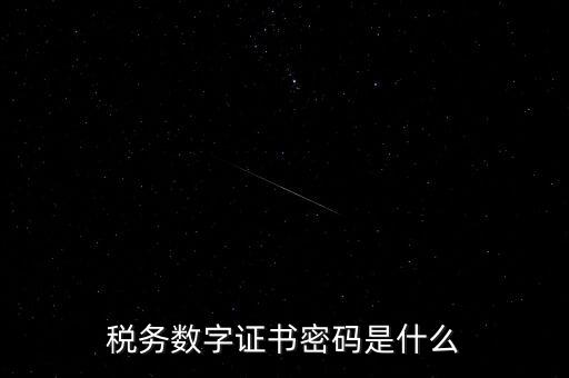 稅務數字證書密碼是什么