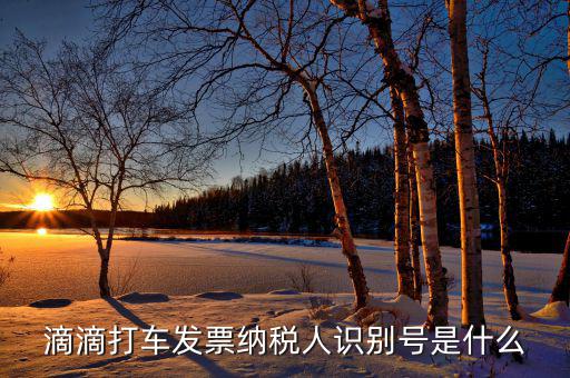 稅優(yōu)識別號是什么，滴滴打車發(fā)票納稅人識別號是什么