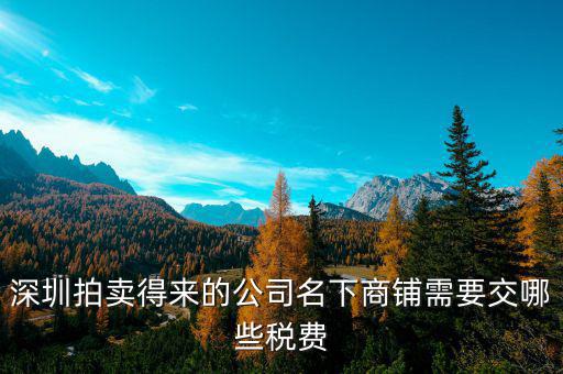 拍賣公司交什么稅，拍賣公司取得的傭金收入2000交哪些稅