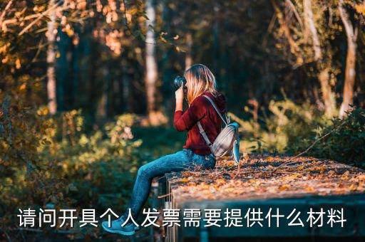 個人發(fā)票需要什么資料，個人購物開增值稅普通發(fā)票需要什么資料
