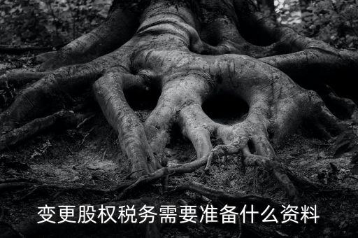 股權(quán)變更完稅憑證需要什么資料，變更股權(quán)稅務(wù)需要準(zhǔn)備什么資料