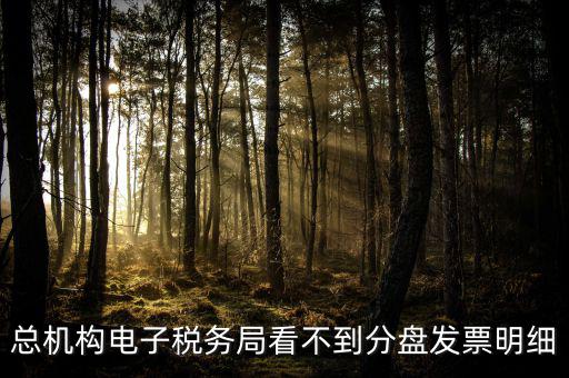 總機構電子稅務局看不到分盤發(fā)票明細