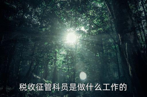 國稅局征管員和企業(yè)要做什么，稅收征管的公務(wù)員主要做什么工作