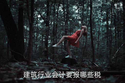 建筑行業(yè)會計(jì)要報(bào)哪些稅