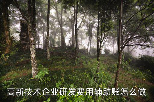 研發(fā)支出輔助賬是什么時候填，什么企業(yè)需要填 研發(fā)支出輔助賬匯總表