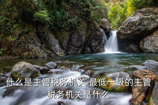 主管稅務(wù)機(jī)關(guān)是什么，稅務(wù)登記的主管稅務(wù)機(jī)關(guān)是