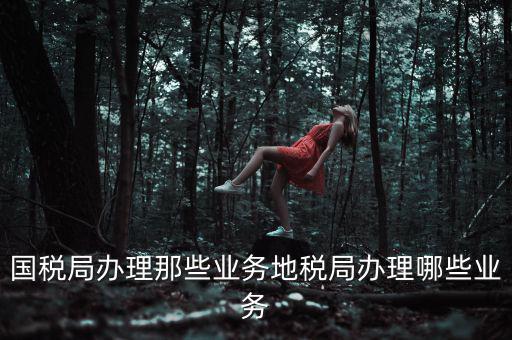 地稅辦理什么業(yè)務(wù)，國稅局辦理那些業(yè)務(wù)地稅局辦理哪些業(yè)務(wù)