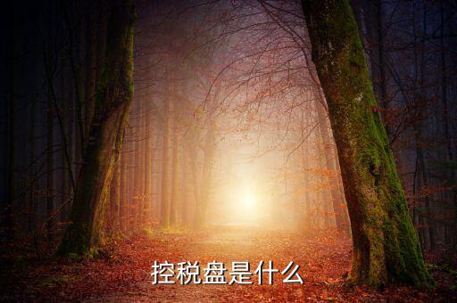 稅控盤(pán)是什么，稅控發(fā)票開(kāi)票軟件 和金稅盤(pán)是什么意思