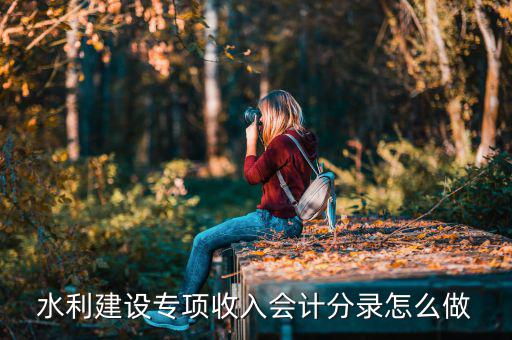 水利建設專項收入是什么，水利建設專項收入會計分錄怎么做