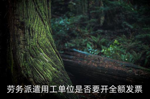 勞務(wù)派遣開什么票，勞務(wù)派遣小時工發(fā)票怎么開