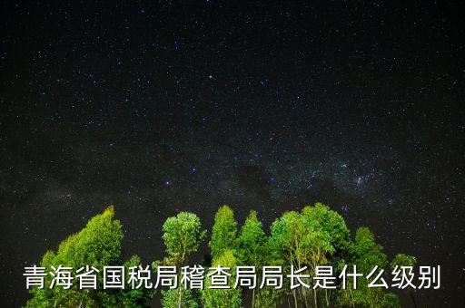 青海省國稅局稽查局局長(zhǎng)是什么級(jí)別