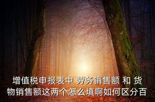 增值稅申報表中 勞務(wù)銷售額 和 貨物銷售額這兩個怎么填啊如何區(qū)分百