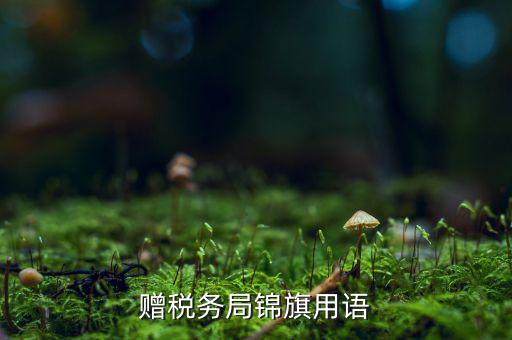 送錦旗給稅局可以寫(xiě)什么內(nèi)容，贈(zèng)稅務(wù)局錦旗用語(yǔ)
