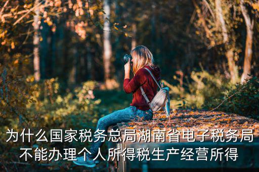 電子稅務(wù)局里面為什么沒有個(gè)稅，個(gè)人所得稅查不到怎么回事