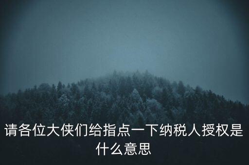 納稅人獲得感是什么意思，請各位大俠們給指點(diǎn)一下納稅人授權(quán)是什么意思