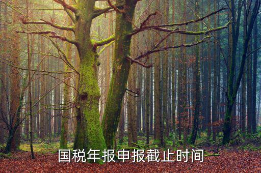新疆國稅申報(bào)11月的什么時(shí)候結(jié)束，國稅年報(bào)申報(bào)截止時(shí)間