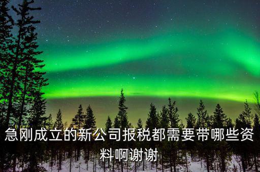 報(bào)稅要帶什么資料，增值稅報(bào)稅都要準(zhǔn)備哪些資料