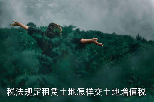 租用土地要交什么稅，土地租賃應(yīng)該繳哪些稅收