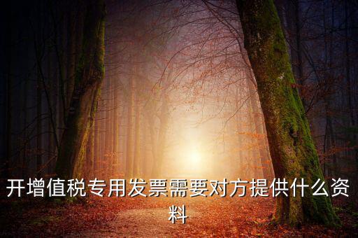 開(kāi)增值稅專(zhuān)用發(fā)票需要對(duì)方提供什么資料