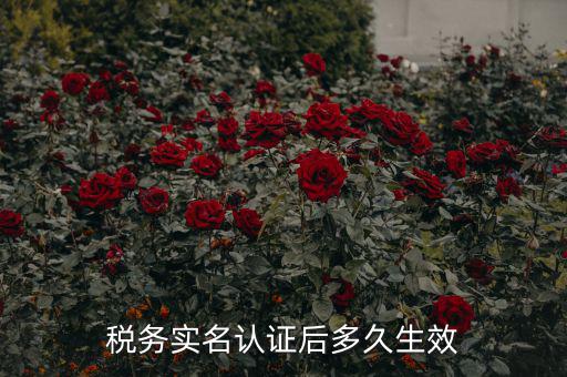 稅務(wù)實名認證后多久生效