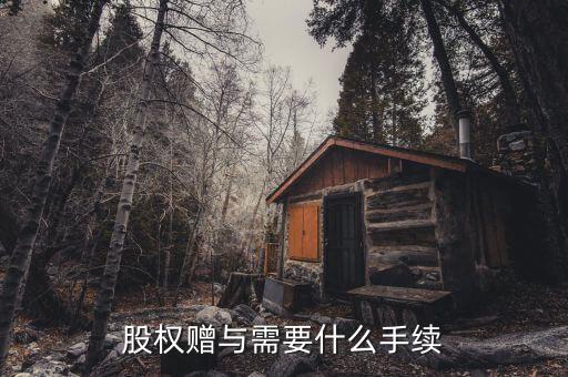 股權(quán)贈(zèng)與稅務(wù)局需要什么手續(xù)，2012年股權(quán)轉(zhuǎn)讓稅務(wù)局所需資料是哪些