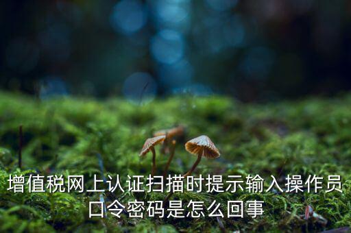 增值稅網上認證掃描時提示輸入操作員口令密碼是怎么回事