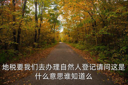 辦稅自然人登記是什么意思，申請(qǐng)人為自然人的是什么意思
