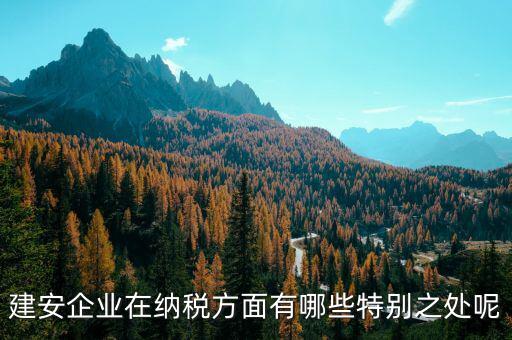 建安企業(yè)申報(bào)是什么，做消防工程開具建安發(fā)票的公司申報(bào)是地稅還是國(guó)稅啊還是兩個(gè)都
