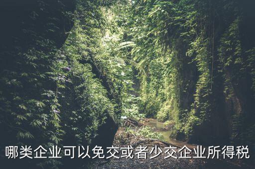 什么情況下企業(yè)可以減免稅收，哪類企業(yè)可以免交或者少交企業(yè)所得稅