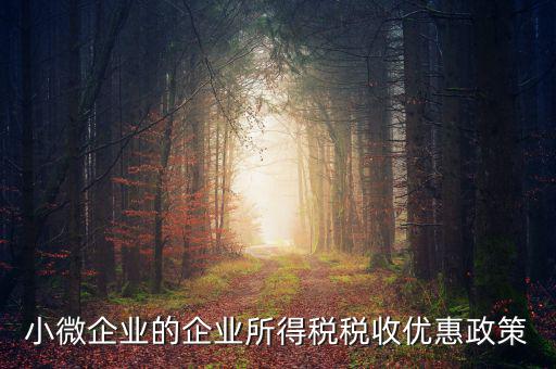 稅務(wù)小微企業(yè)稅收優(yōu)惠是什么，小微企業(yè)的企業(yè)所得稅稅收優(yōu)惠政策