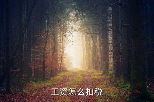 員工工資中的稅是按什么扣的，工資怎么扣稅