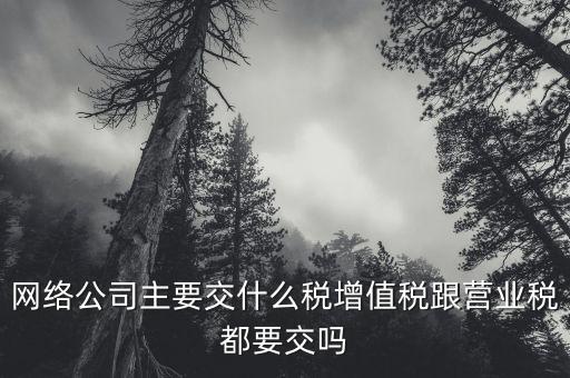 互聯(lián)網(wǎng)企業(yè)交什么稅，互聯(lián)網(wǎng)公司在稅收上有何政策