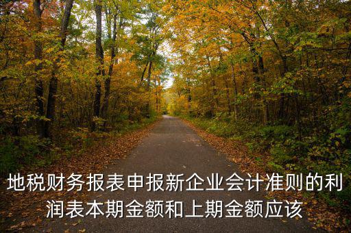 地稅利潤表的上期金額指什么，新會(huì)計(jì)制度下利潤表中本期金額和上期金額是什么意思
