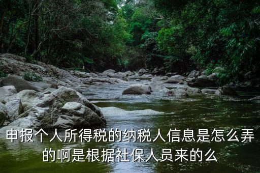 納稅人信息包括什么，申報(bào)個(gè)人所得稅的納稅人信息是怎么弄的啊是根據(jù)社保人員來(lái)的么