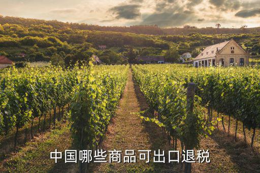 什么貨物出口可以退稅，中國哪些商品可出口退稅