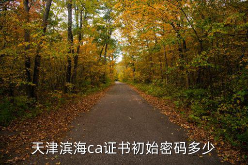 天津ca密碼是什么意思，天津社?？ǔ跏济艽a是多少啊 我是中國銀行的