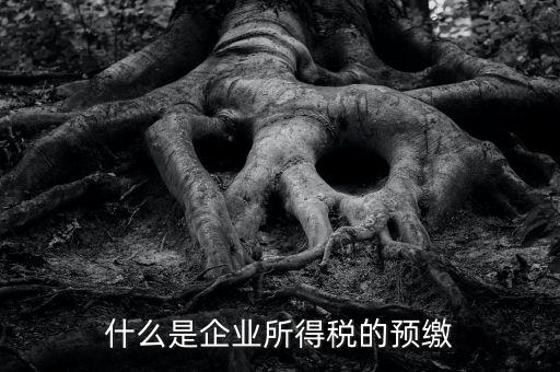 什么是預(yù)交企業(yè)所得稅，什么是企業(yè)所得稅的預(yù)繳