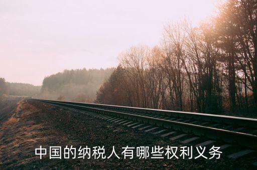 納稅服務(wù)什么權(quán)，中國(guó)的納稅人有哪些權(quán)利義務(wù)