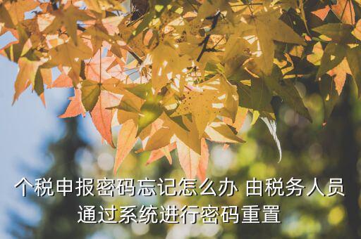 地稅重置密碼需要什么，重置個稅申報密碼需要什么