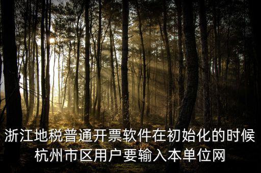 浙江網(wǎng)上稅務(wù)局的注冊(cè)碼是什么，浙江地稅因特網(wǎng)辦稅服務(wù)系統(tǒng)注冊(cè)碼過(guò)期