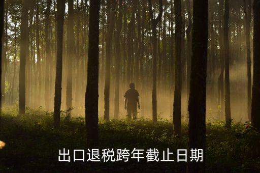 出口退免稅認(rèn)定日期是什么時(shí)候，出口退稅跨年截止日期